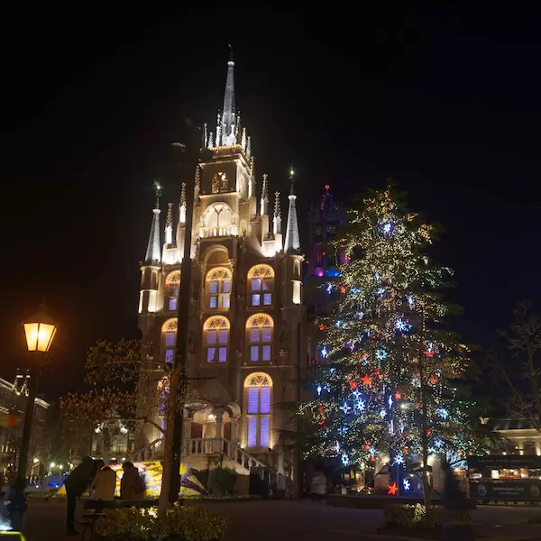 Tree and Stadhuis